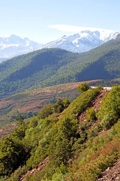 Das dades-tal im atlas moroco strasse schnee niemand — Stockfoto