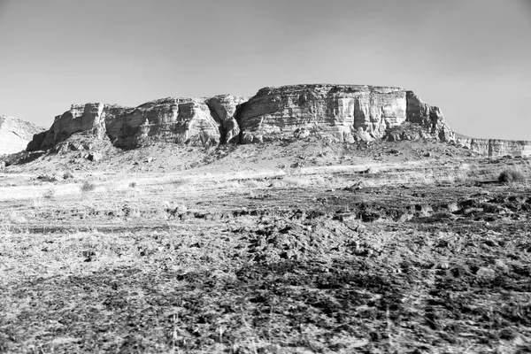 Güney Afrika'da kara çalı ve ağaç — Stok fotoğraf