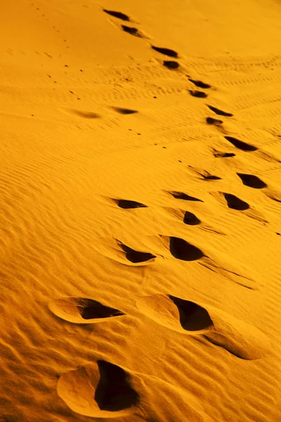 Il deserto marroncino delle dune di sabbia — Foto Stock