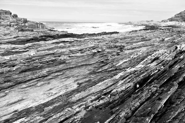 In south africa   sky  ocean       reserve — Stock Photo, Image