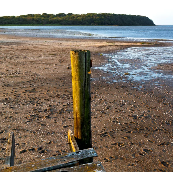 In het natuurreservaat van Zuid-Afrika en pier — Stockfoto