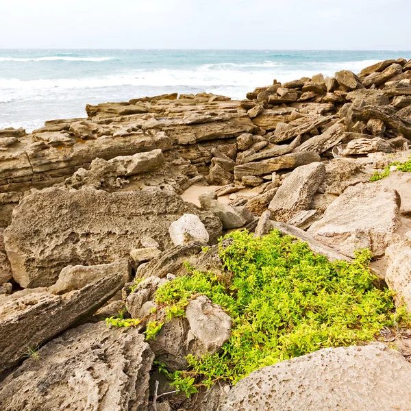   arka plan doku renklerini ve