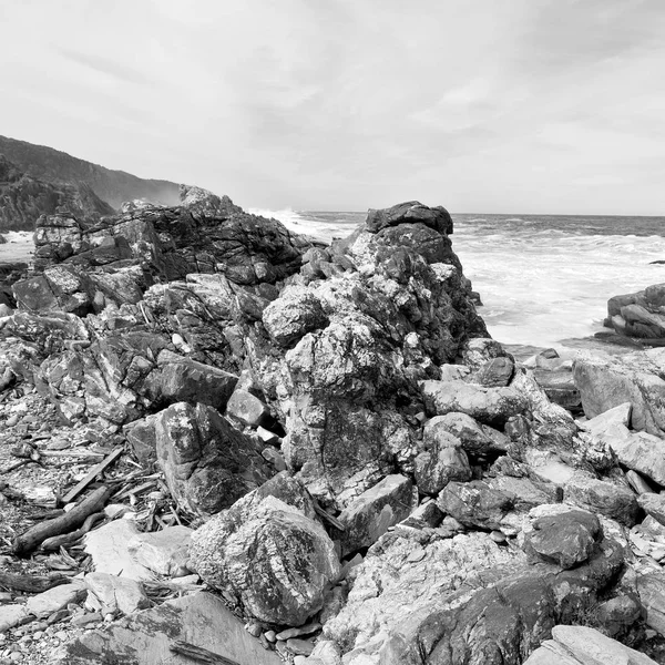 In south africa   sky  ocean      reserve — Stock Photo, Image