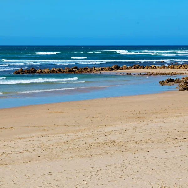 In south africa    sky  ocean       reserve — Stock Photo, Image