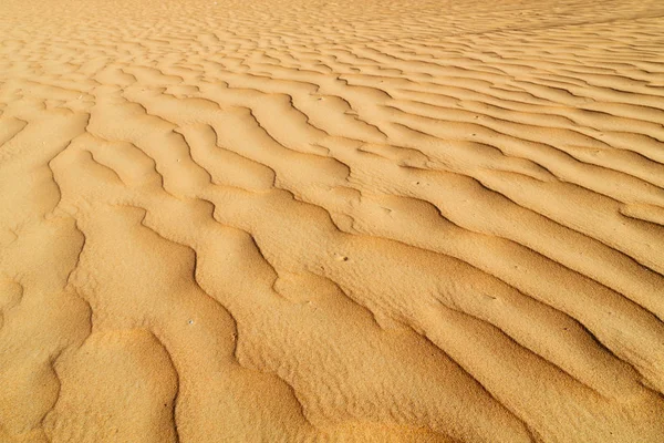 In oman the old desert and the empty quarter abstract  texture l — Stock Photo, Image