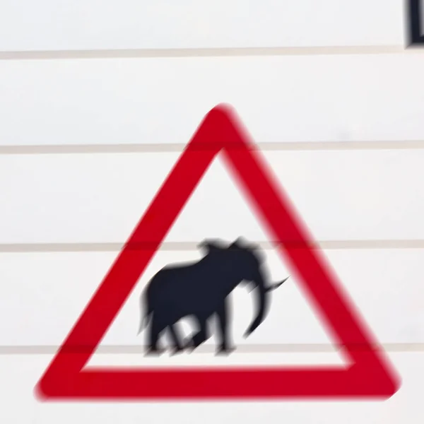 南アフリカ共和国のクローズ アップの象印 — ストック写真