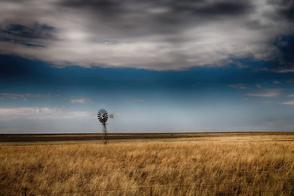   Güney Afrika'da kara çalı ve bush