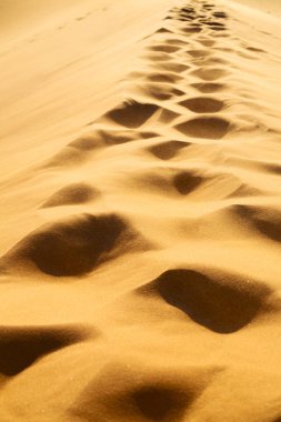 Umman soyut doku satırı dalga