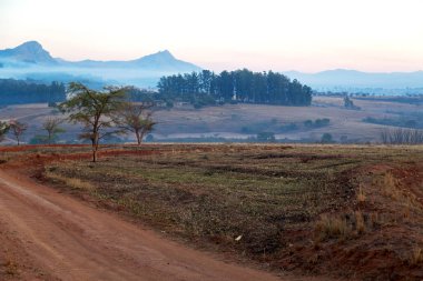   Svaziland yaban hayatı doğa rezerv 
