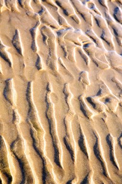 Dune Fas beach Atlantik yakınlarında  