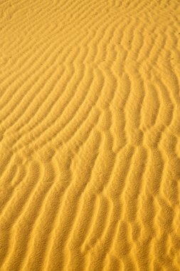 kahverengi kumul çöl 