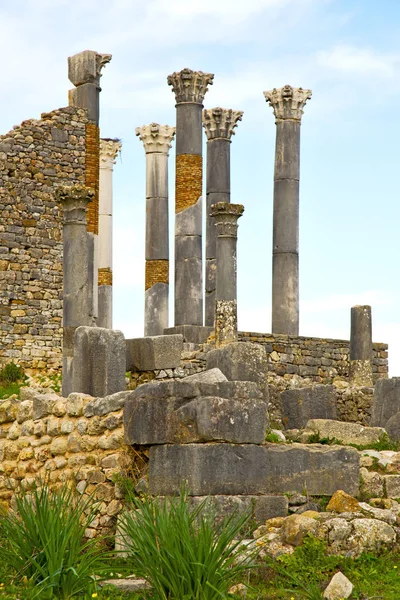 Volubilis in morocco africa the old roman deteriorated monument — Stock Photo, Image