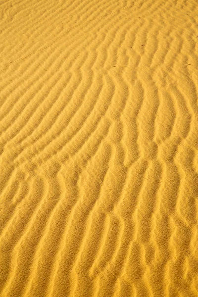 El desierto de dunas de arena marrón —  Fotos de Stock