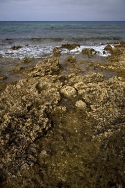  Lanzarote Adası köpük içinde su 
