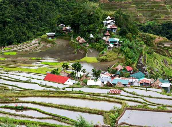 Terrace   field for  coultivation of rice — Stock Photo, Image