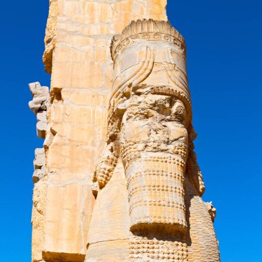 İran persepolis
