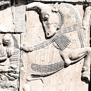 İran persepolis