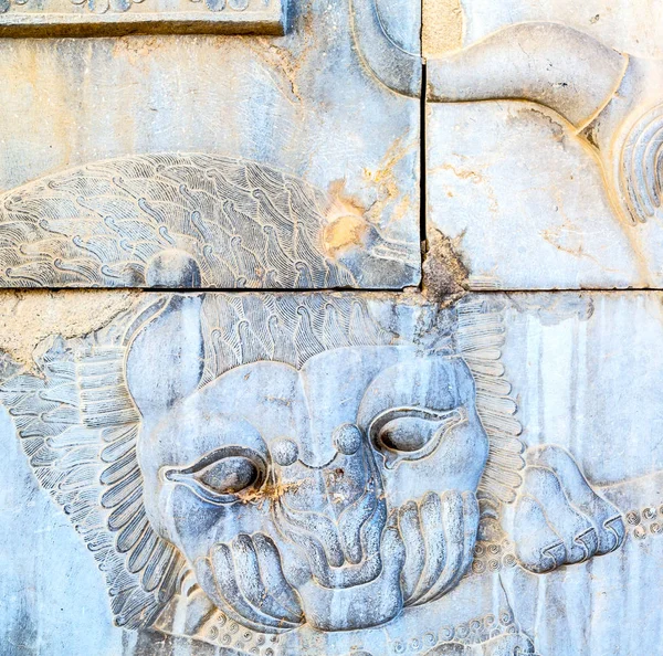 In iran persepolis — Foto Stock