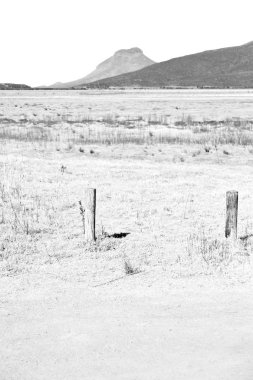  Güney Afrika ıssızlık vadisinde  