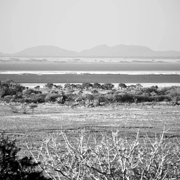 Im südafrikanischen Teich See Naturschutzgebiet und Busch — Stockfoto