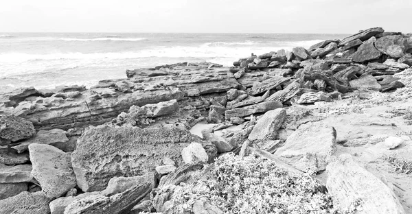 In south africa   sky ocean  nature    reserve — Stock Photo, Image