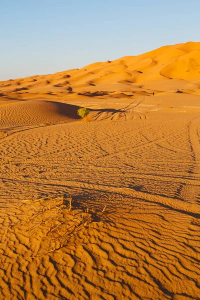 I oman gamla öknen — Stockfoto