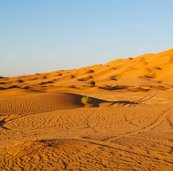 I oman gamla öknen — Stockfoto