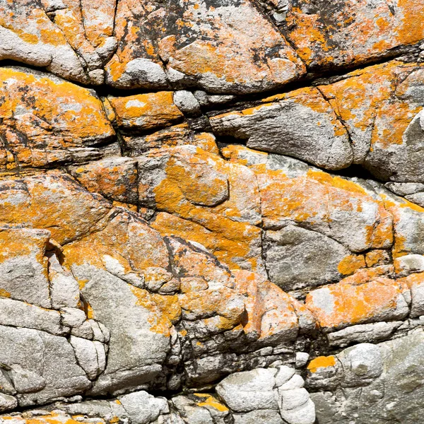 Primer plano de la línea de costa de piedra abstracta — Foto de Stock