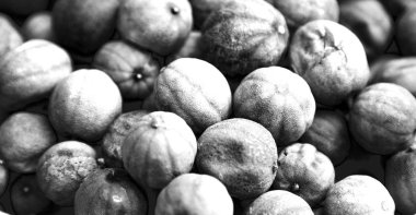  soyut desen kuru limon 