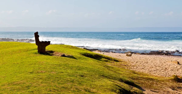 In south africa    sky  ocean       reserve — Stock Photo, Image