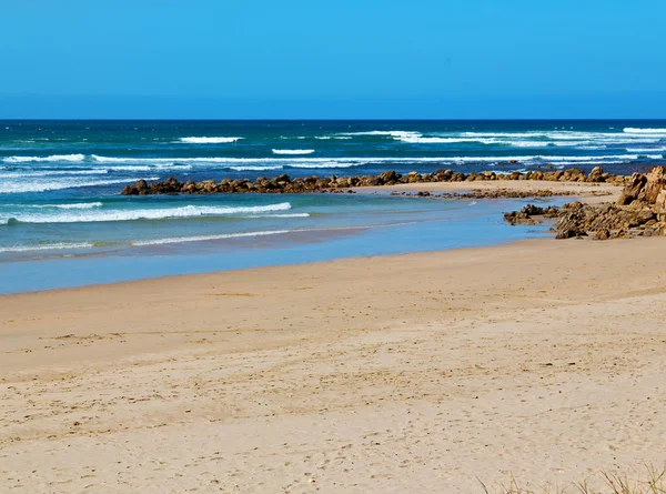 In south africa    sky  ocean       reserve — Stock Photo, Image