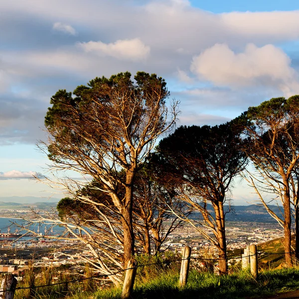 En Sudáfrica panorámica desde la montaña de la mesa — Foto de Stock