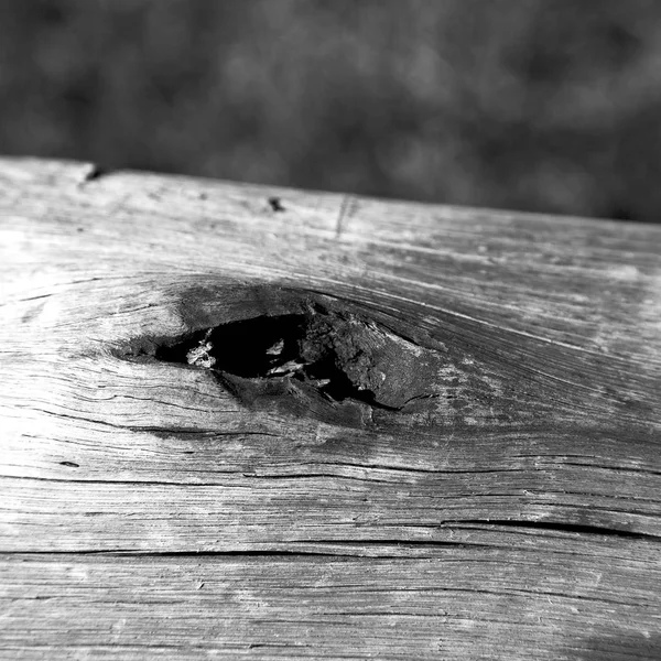 Αφηρημένη ξύλο closeup σαν υφή φόντου — Φωτογραφία Αρχείου