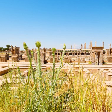 İran'da persepolis yakınındaki 