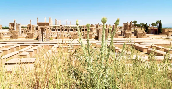 İran'da persepolis yakınındaki 