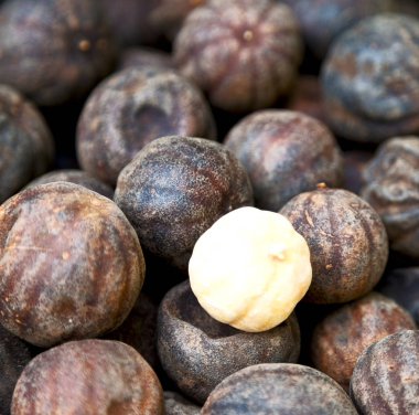  soyut desen kuru limon 