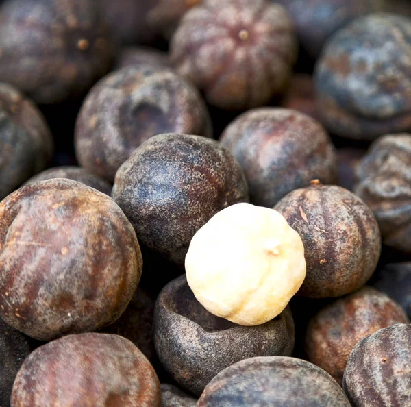  soyut desen kuru limon 