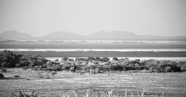 В Южной Африке пруд озера природный заповедник и куст — стоковое фото
