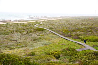Güney Afrika beach geçit Hint Okyanusu yakınlarındaki