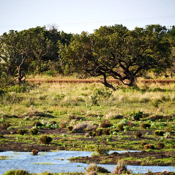 Na África do Sul lagoa lago reserva natural e arbusto — Fotografia de Stock