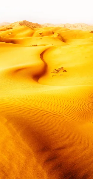 In oman oude rub al khali woestijn het lege kwartaal en buiten s — Stockfoto