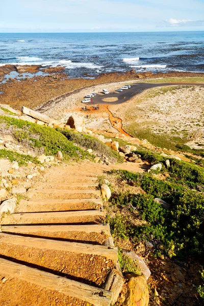 In costa sudafricana e riserva naturale del parco — Foto Stock