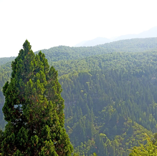 tepeden Asya Türkiye selge eski mimari kalıntılar ve na