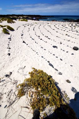 lanzarote Adası beyaz plaj kayalarda 