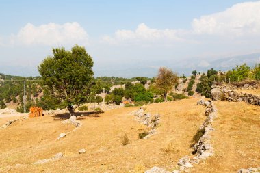     Hill Asya Türkiye selge eski kalıntıları ve doğa 