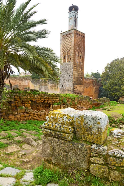 Chellah Fas Afrika eski Roma anıt bozulan bir