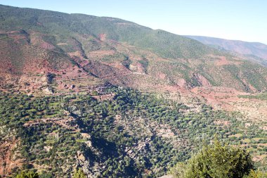 dades atlas Fas Afrika ağacı ve kimse