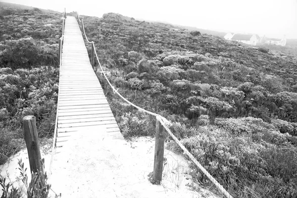 I Sydafrika stranden gångväg nära Indiska oceanen — Stockfoto