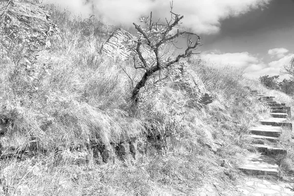 In Sudafrica terra montana — Foto Stock