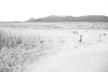  Güney Afrika ıssızlık vadisinde  